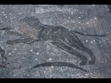 00389 ostia - regio ii - insula ii - terme dei cisiarii (ii,ii,3) - raum (6, a) - tepidarium - evtl panther - mosaik.jpg